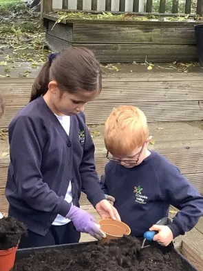 Pupils gardening