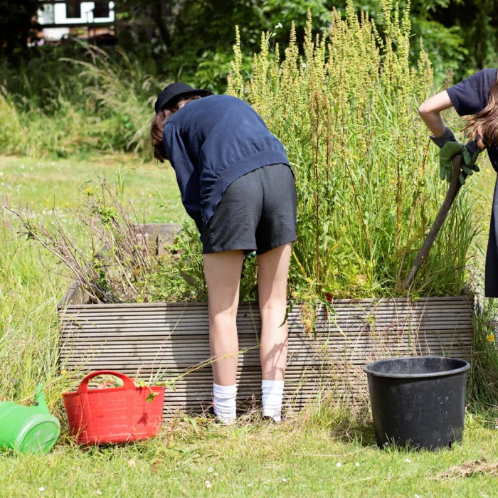 Coppice Valley Primary School (70)