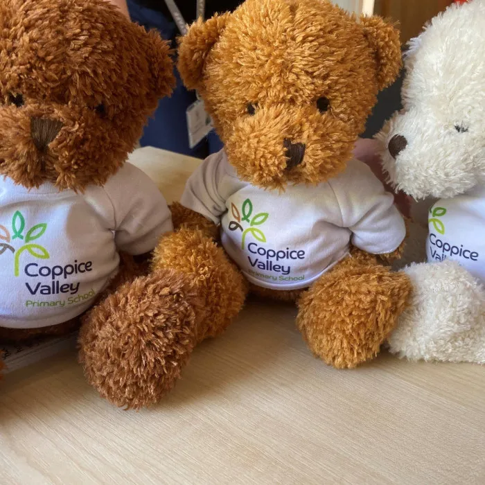 Coppice Valley bears