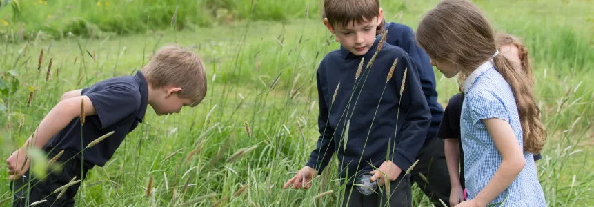 Pupils in the school grounds