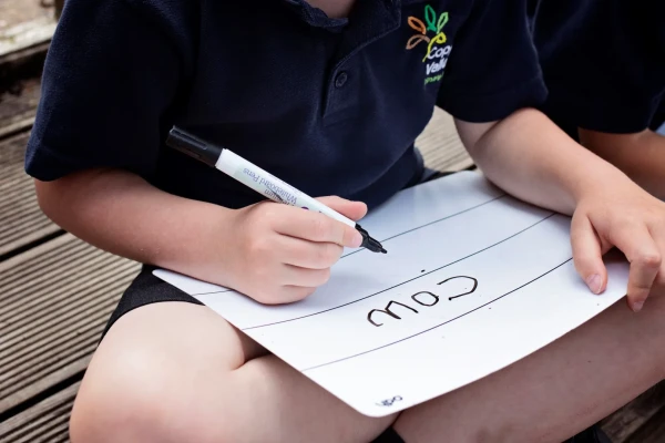Coppice Valley Primary School (10)