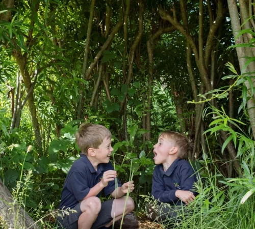 Coppice Valley Primary School (31)