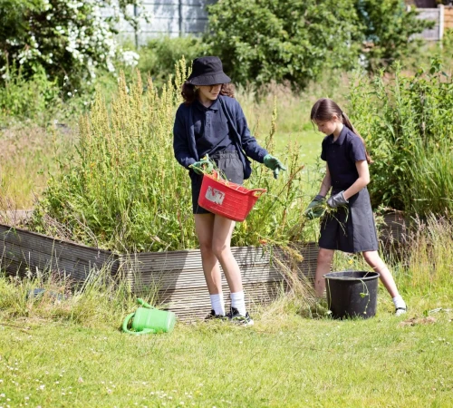 Coppice Valley Primary School (71)