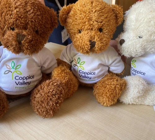Coppice Valley bears