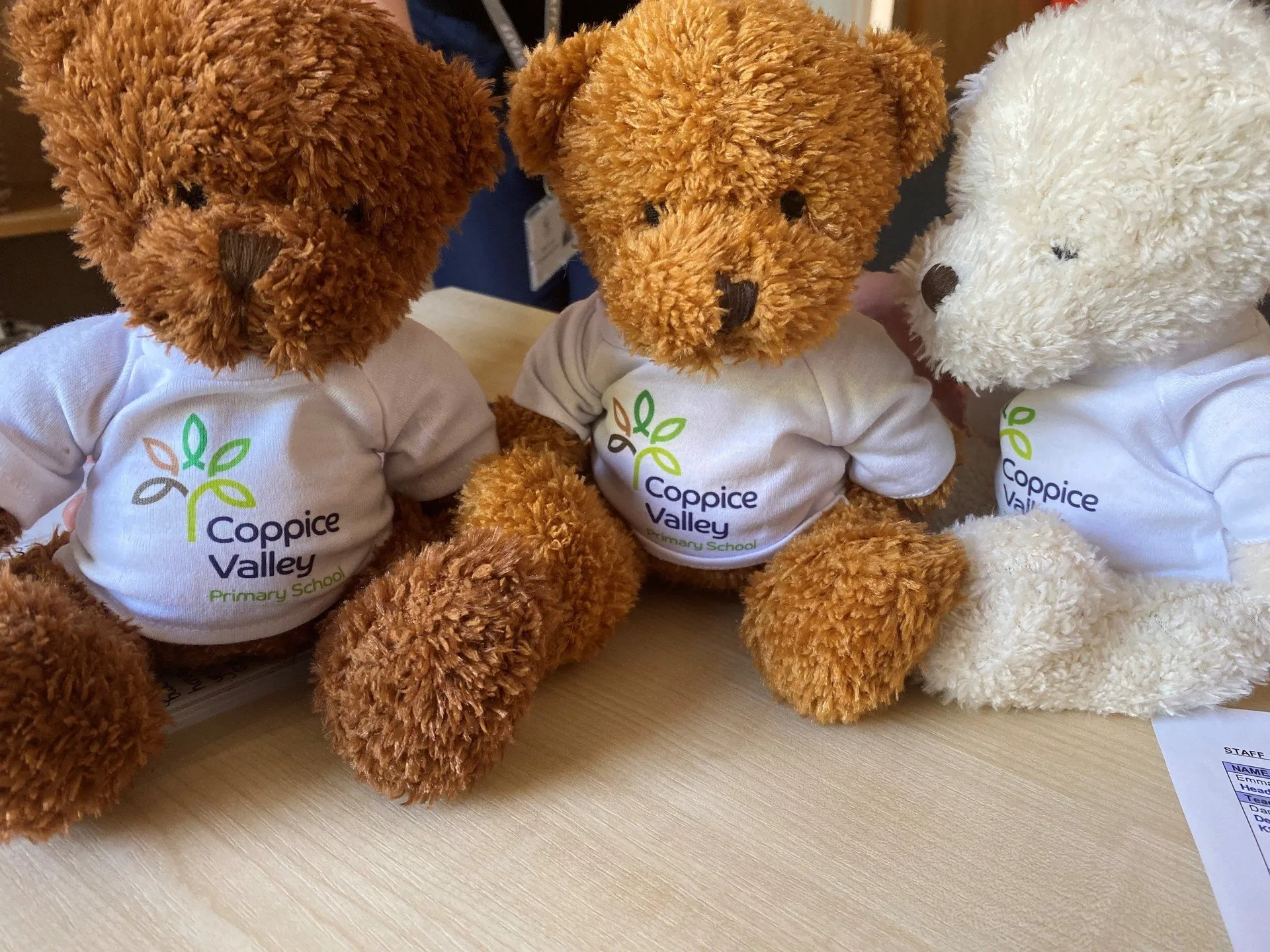 Coppice Valley bears